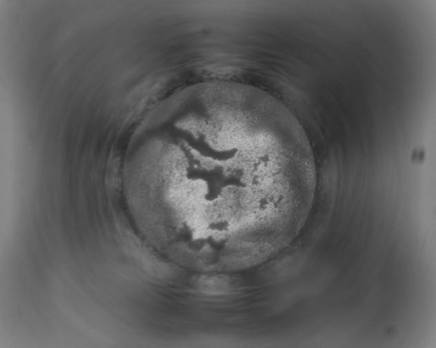 X0000113010181200909171438