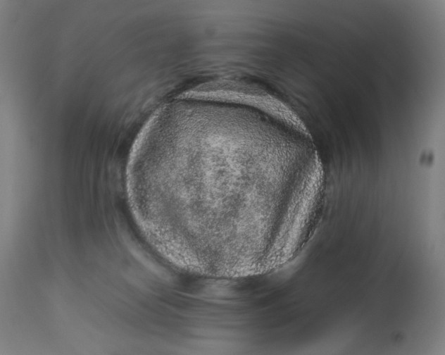 X0000113010182200909171438