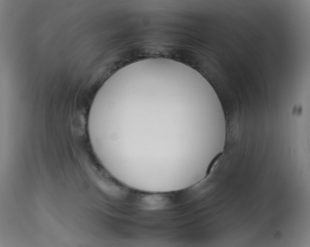 X0000113010183200909171438