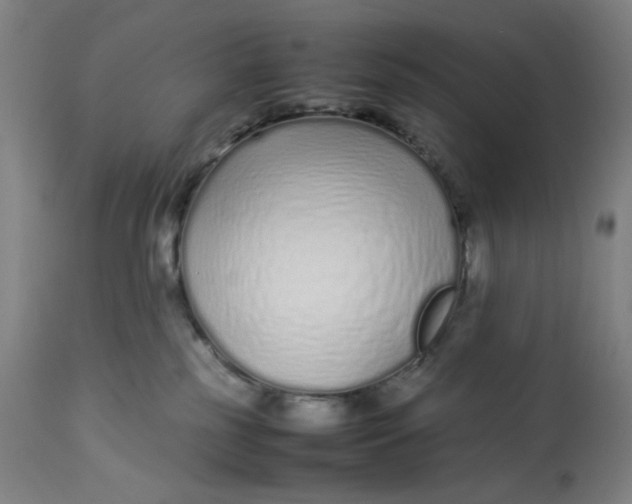 X0000113010185200909171438