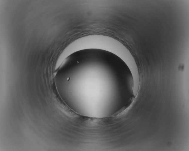 X0000113010186200909171438