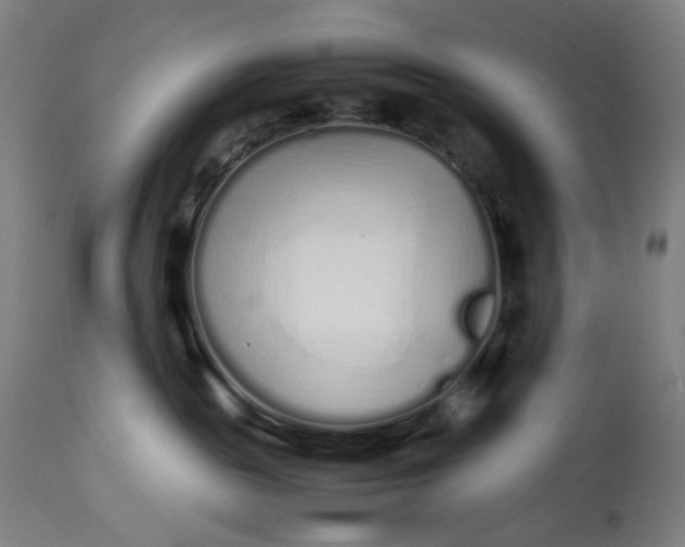 X0000113010189200909171438