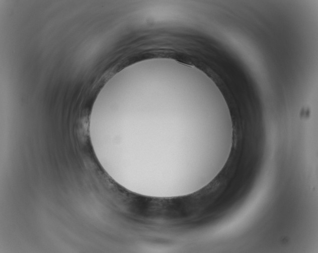 X0000113010190200909171438