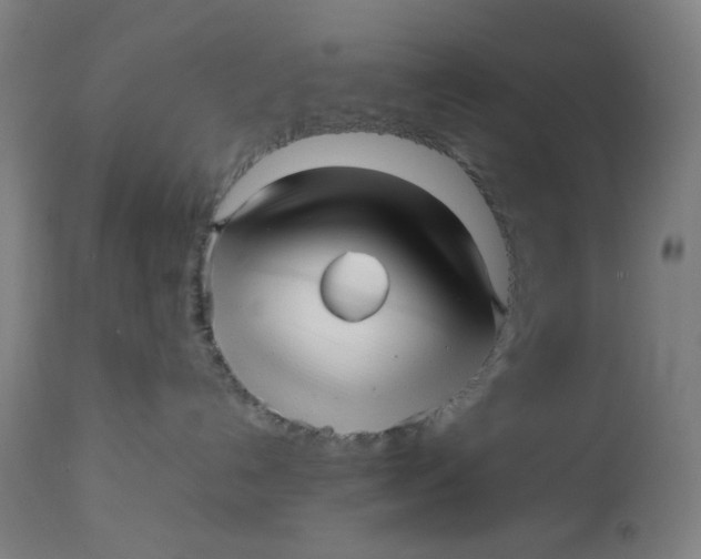 X0000113010192200909171438