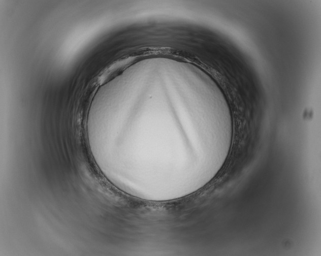 X0000113010194200909171437