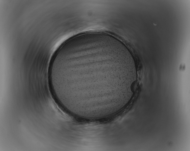 X0000113010196200909171437