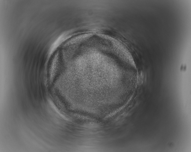 X0000113010198200909171437