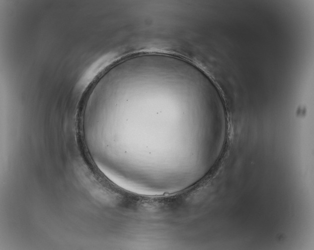 X0000113010199200909171437