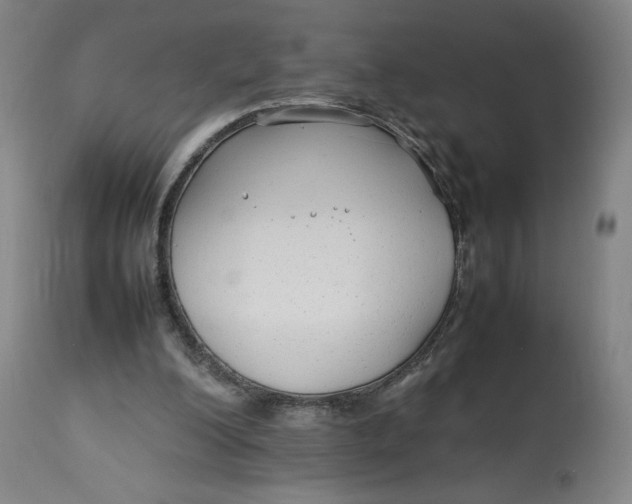 X0000113010200200909171437