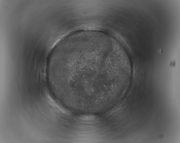 X0000113010202200909171437