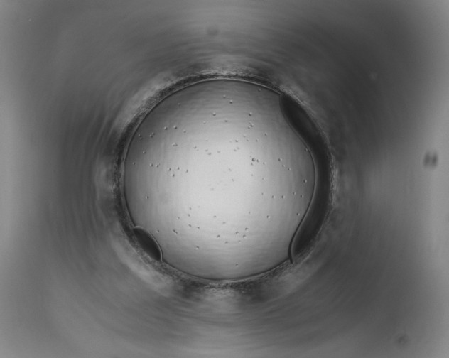 X0000113010203200909171437