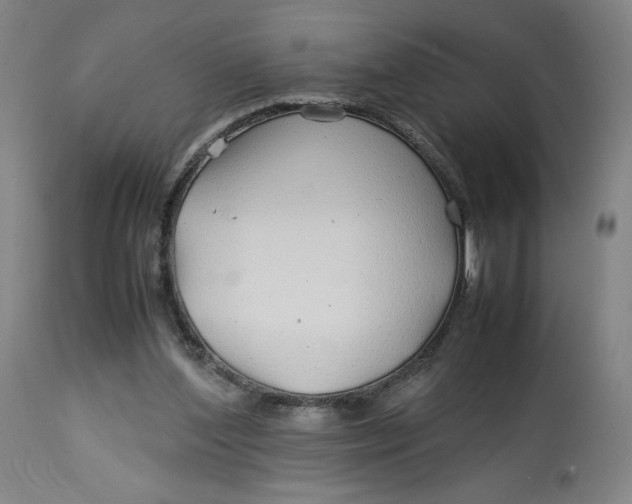 X0000113010204200909171437