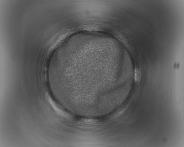 X0000113010205200909171437