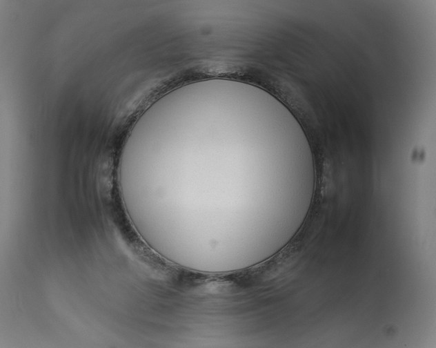 X0000113010210200909171437