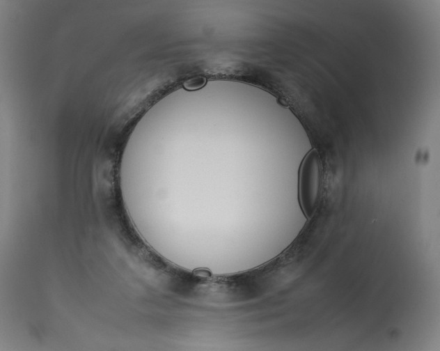 X0000113010211200909171437