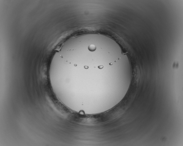 X0000113010212200909171437