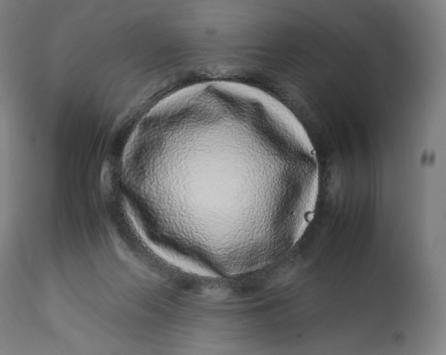 X0000113010214200909171437