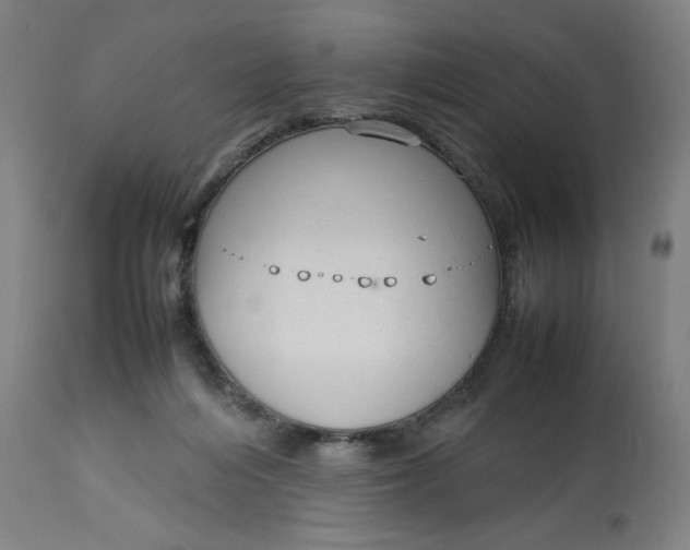 X0000113010216200909171437