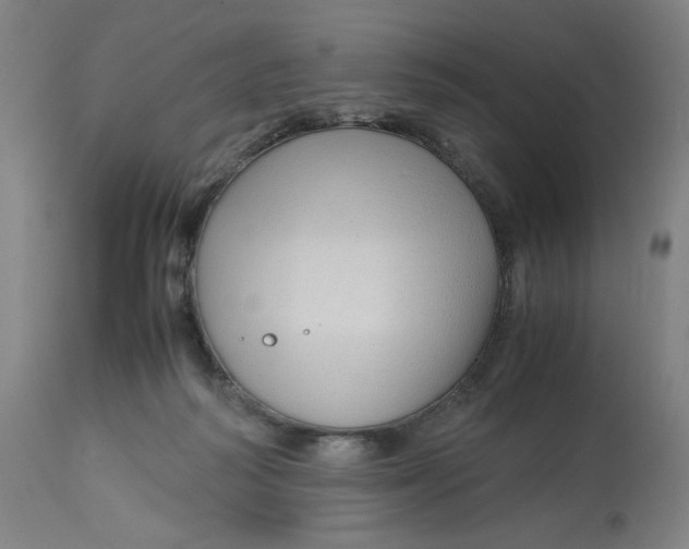 X0000113010218200909171437