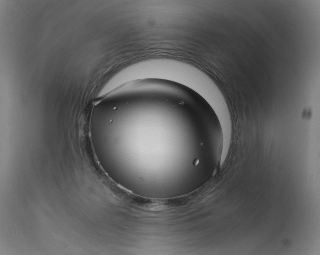 X0000113010219200909171437