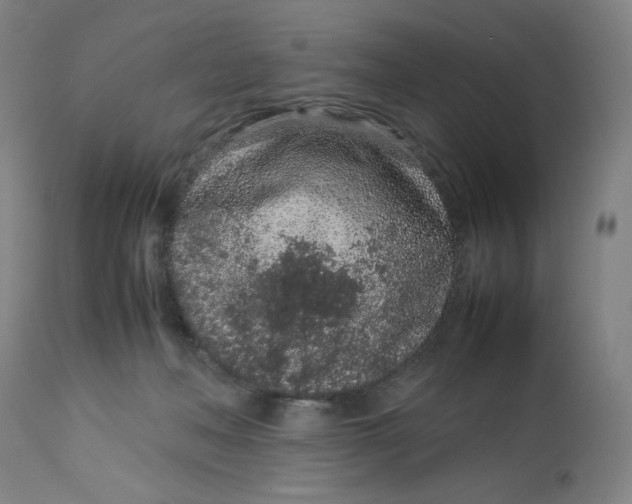 X0000113010222200909171437