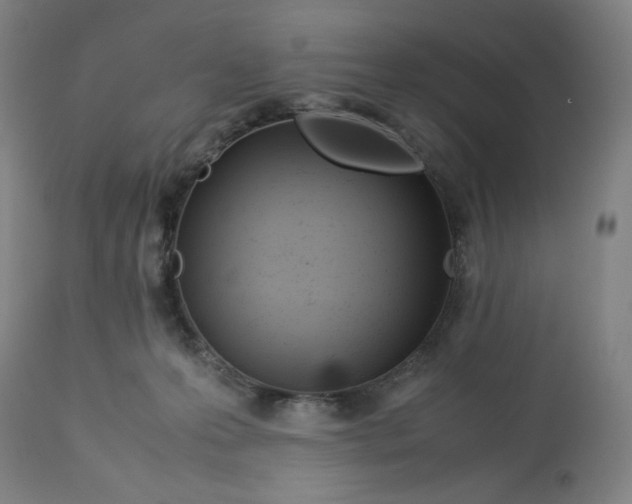 X0000113010223200909171437