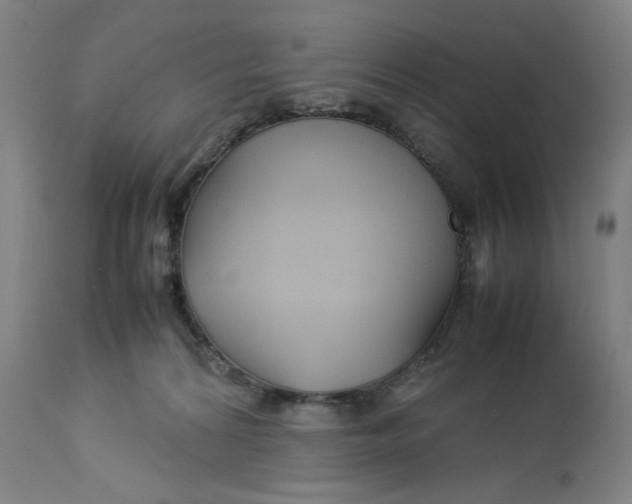 X0000113010224200909171437