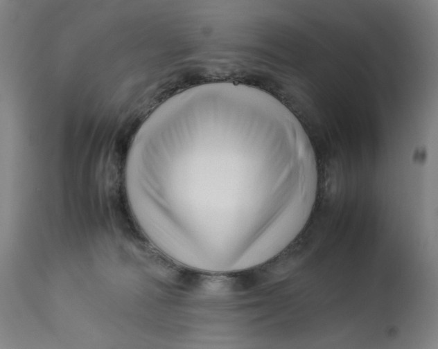 X0000113010226200909171437