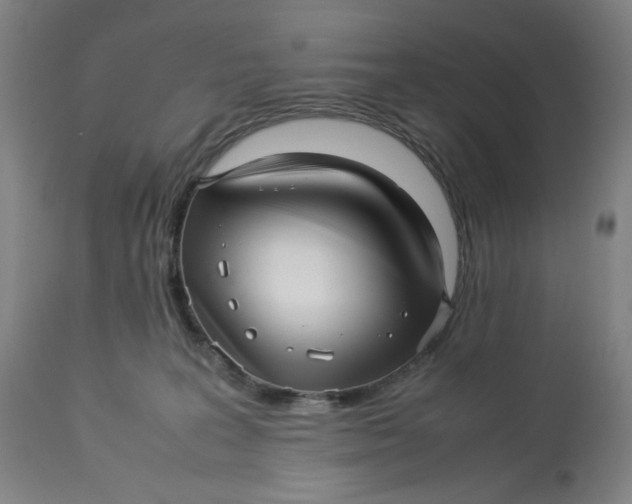 X0000113010227200909171437