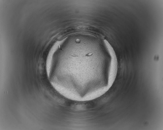 X0000113010228200909171437