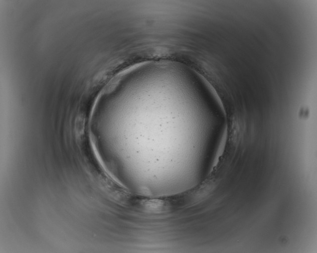 X0000113010230200909171437