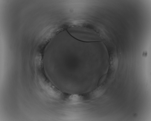 X0000113010231200909171437