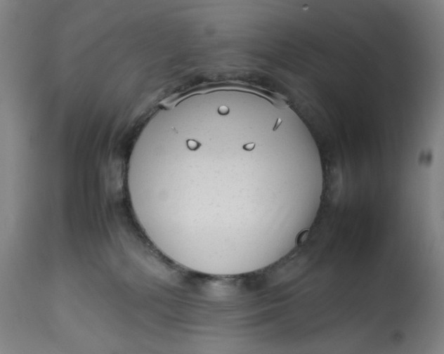 X0000113010232200909171437