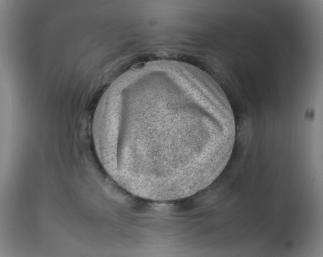 X0000113010233200909171437