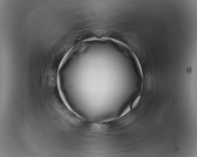 X0000113010234200909171437