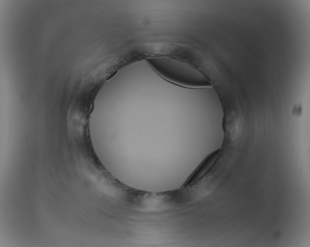 X0000113010235200909171437