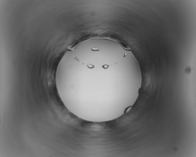 X0000113010236200909171437