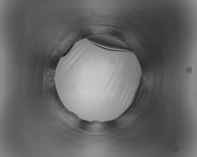 X0000113010237200909171437