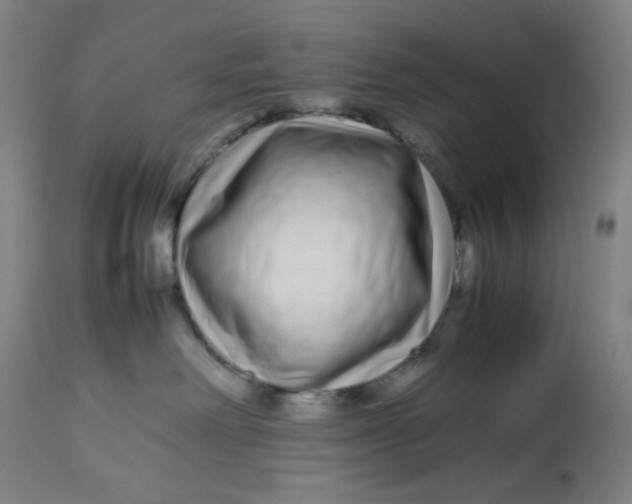 X0000113010238200909171437