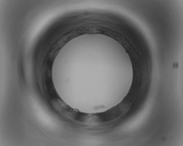 X0000113010239200909171437