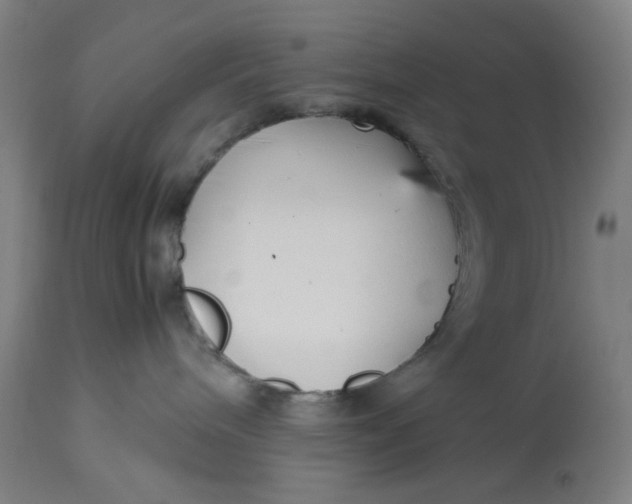 X0000113010240200909171437