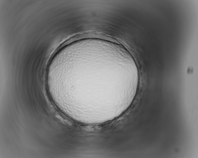 X0000113010241200909171436