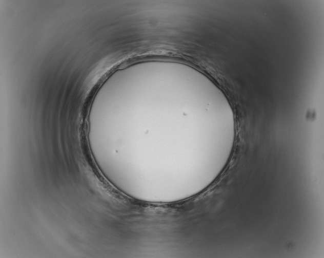 X0000113010242200909171436