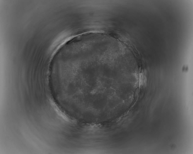 X0000113010243200909171436