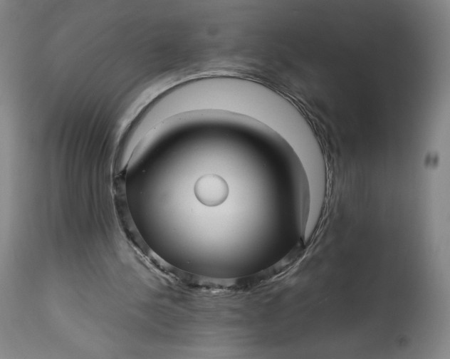 X0000113010244200909171436