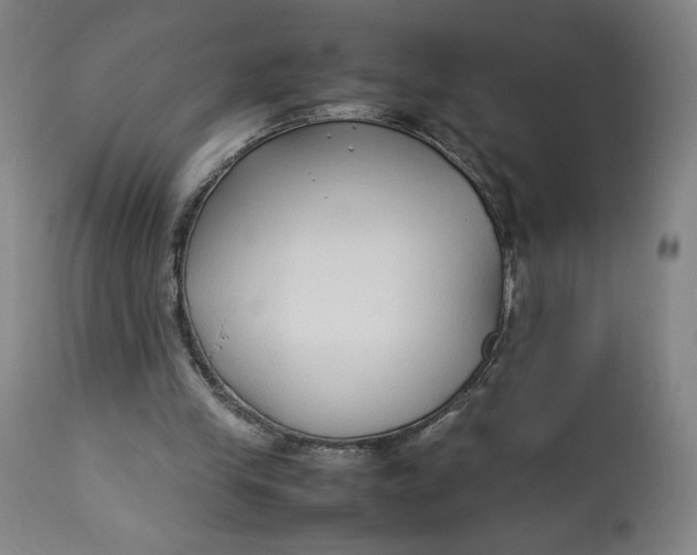 X0000113010245200909171436