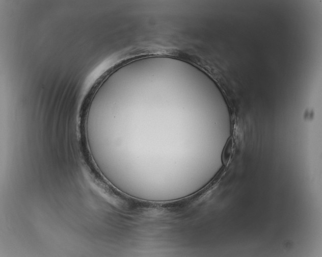 X0000113010246200909171436