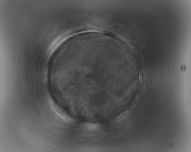 X0000113010247200909171436