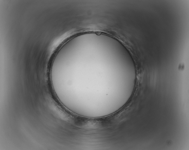 X0000113010248200909171436