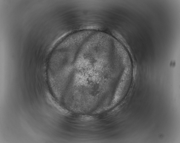 X0000113010249200909171436